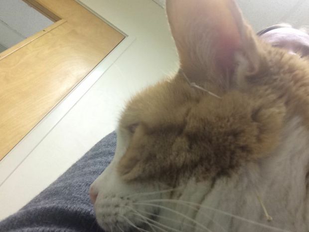 60dSdJMmWk5o-sQUt2z8_WlECYQMzoUcxvTyaZCo9h8